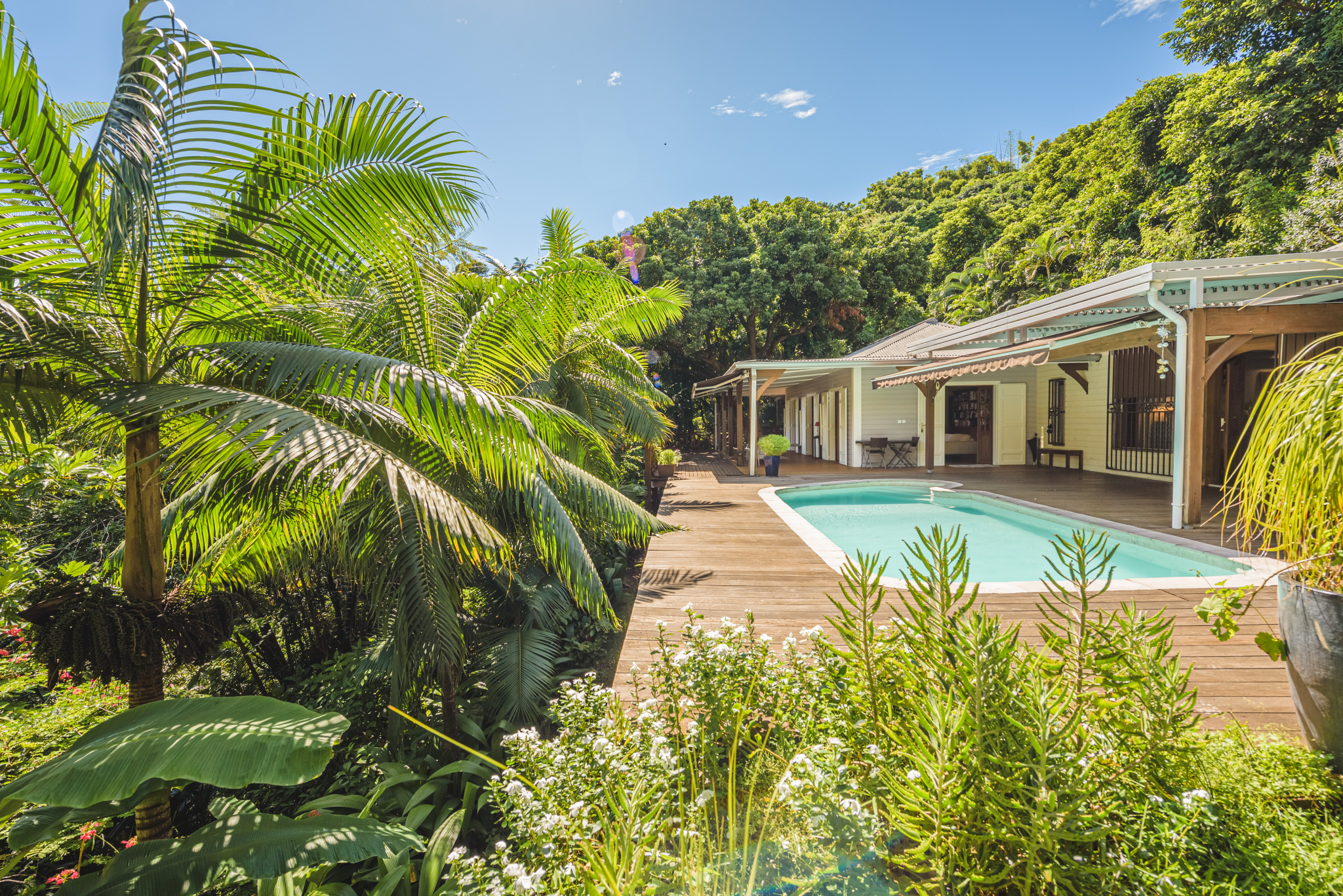 VENTE D'UNE PROPRIÉTÉ BOISÉE DE 12800 m2 BATIE D'UNE DEMEURE DE 200 M2 PISCINE
